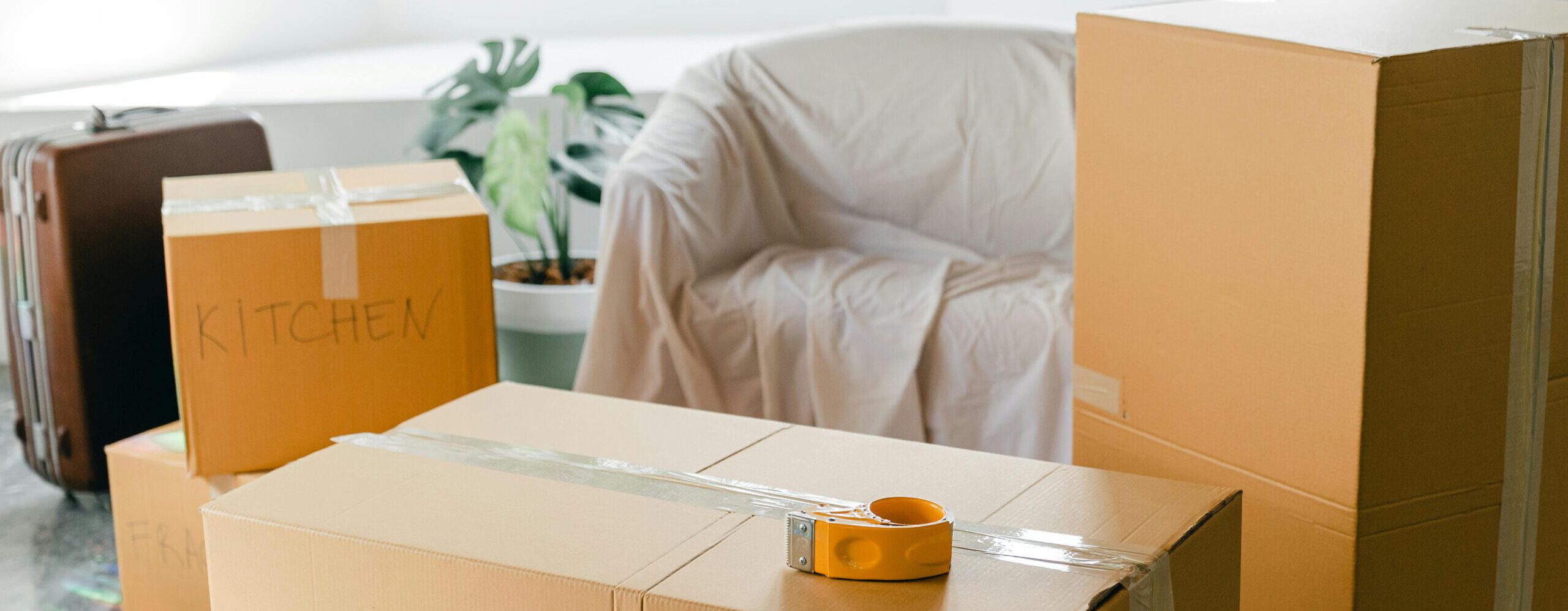 ¡El verano llegó y con él, la oportunidad perfecta para organizar tu casa!